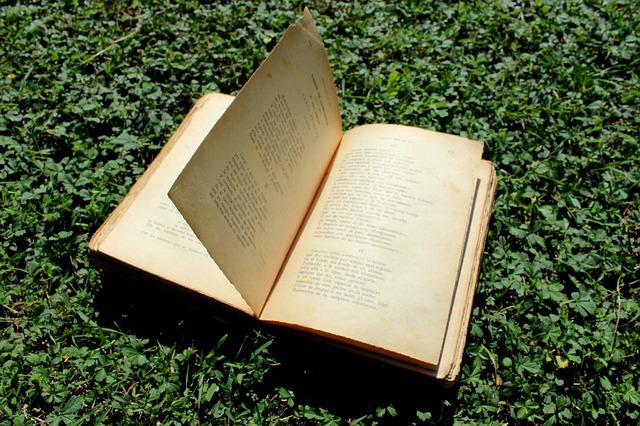 Poesía